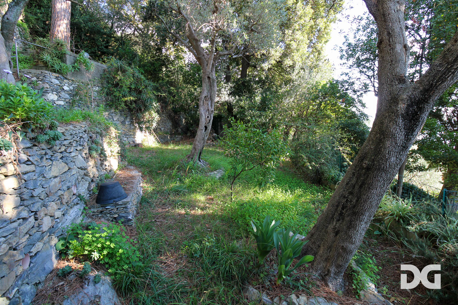 Immobiliare Del Guasta BOGLIASCO – VIA PRIVATA ADELINA PANORAMICISSIMI BILIVELLO MQ. 172