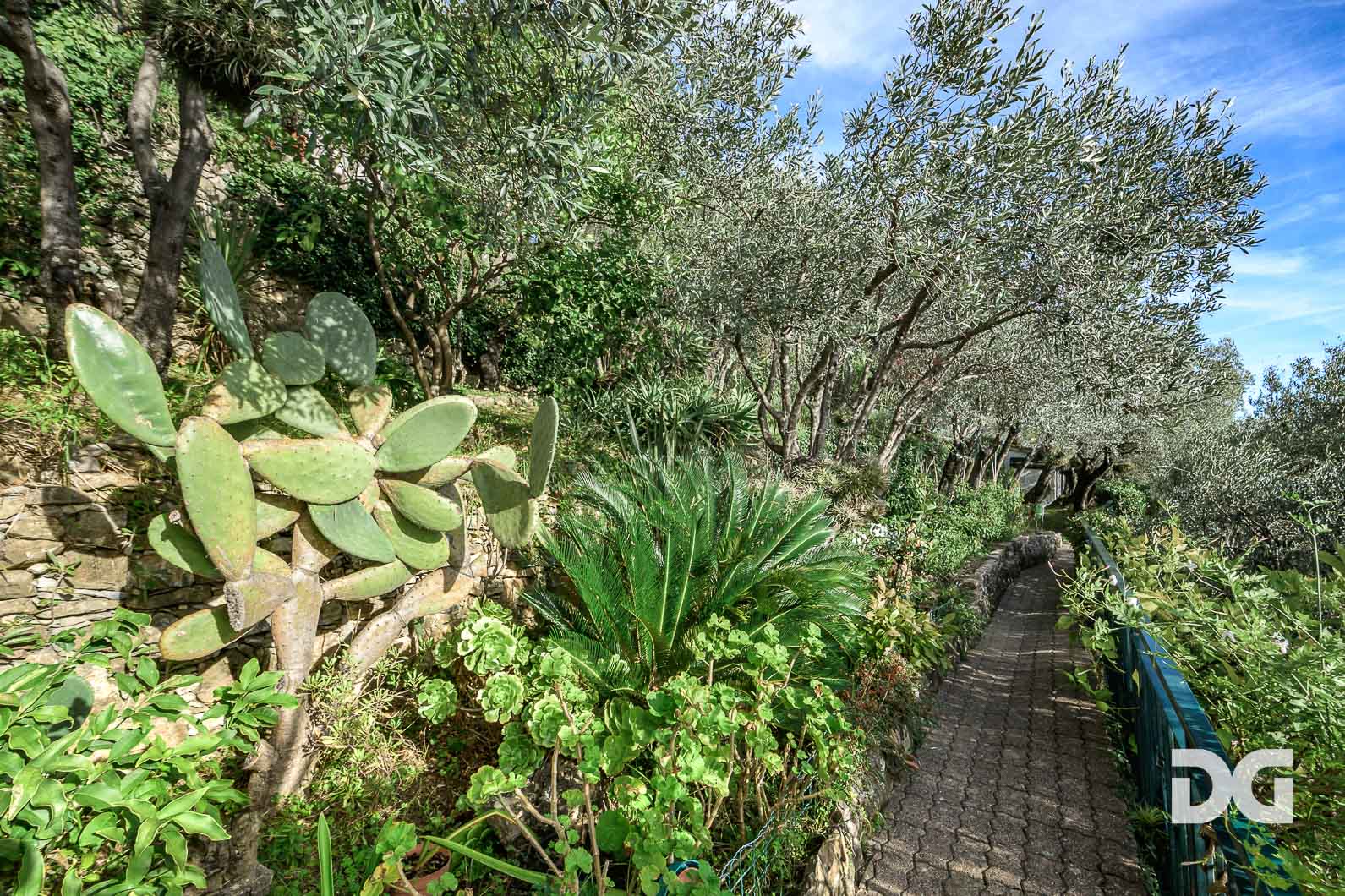 Immobiliare Del Guasta BOGLIASCO – PANORAMICI MQ 70 CON GIARDINO E TERRAZZO 