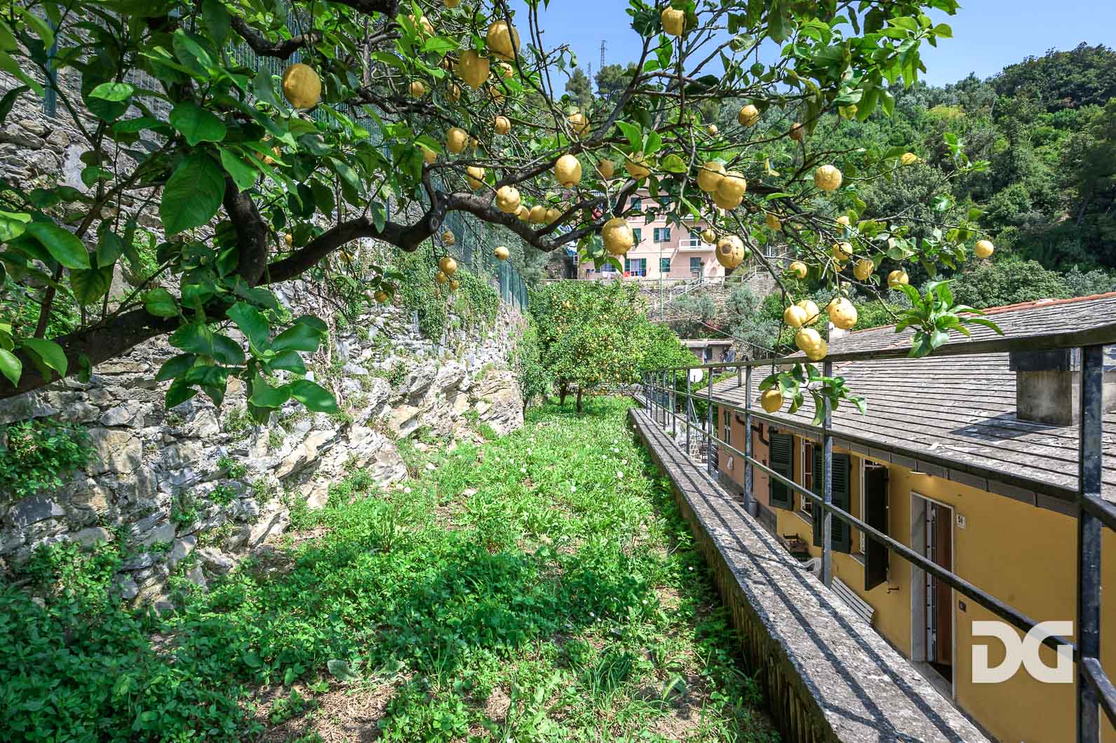 Immobiliare Del Guasta NERVI IMMERSO NEL VERDE – PANORAMICI MQ. 104 CON GIARDINO 