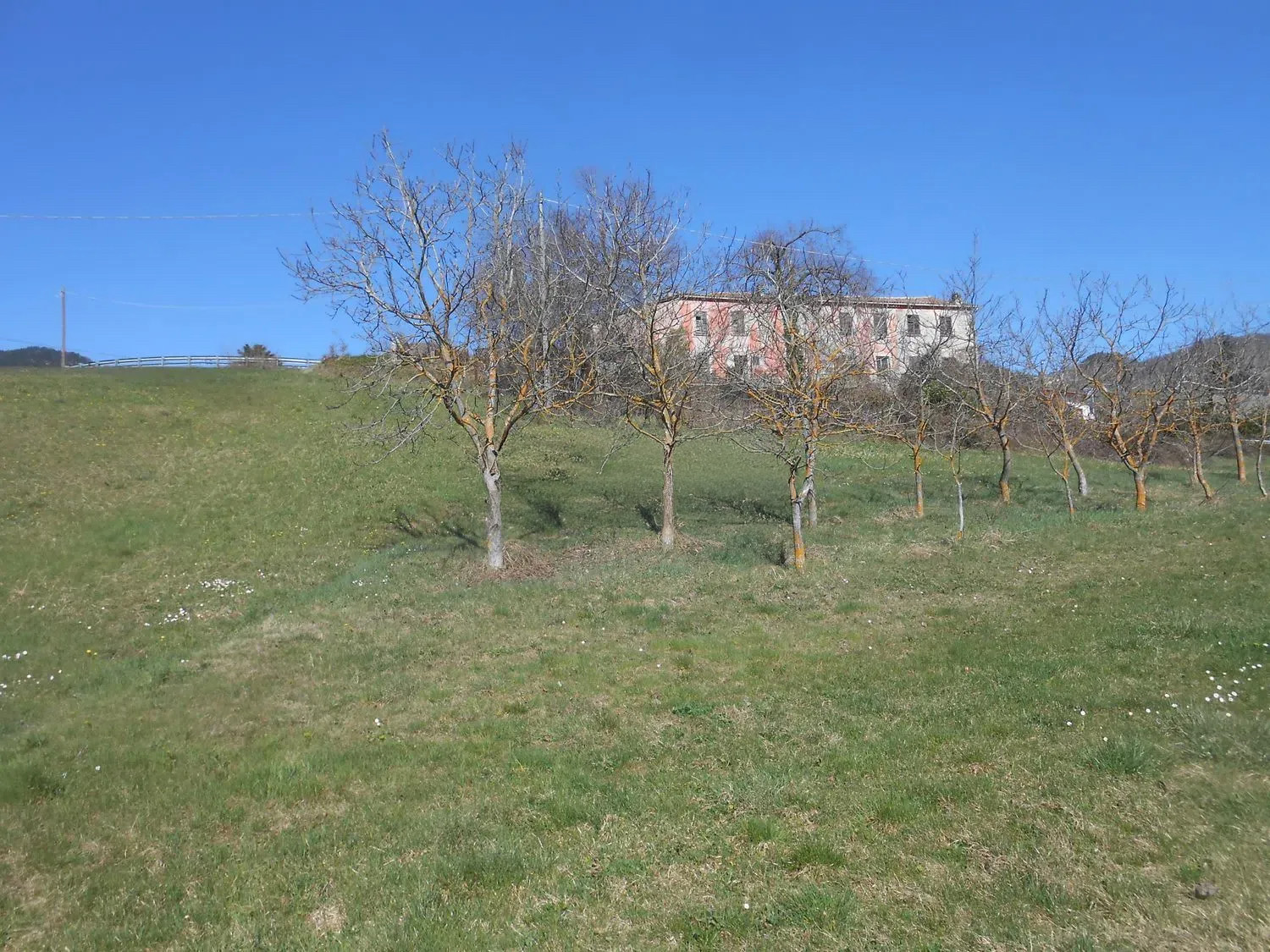 Immobiliare Del Guasta BOBBIO - INTERA PALAZZINA MQ. 700 CON TERRENO 