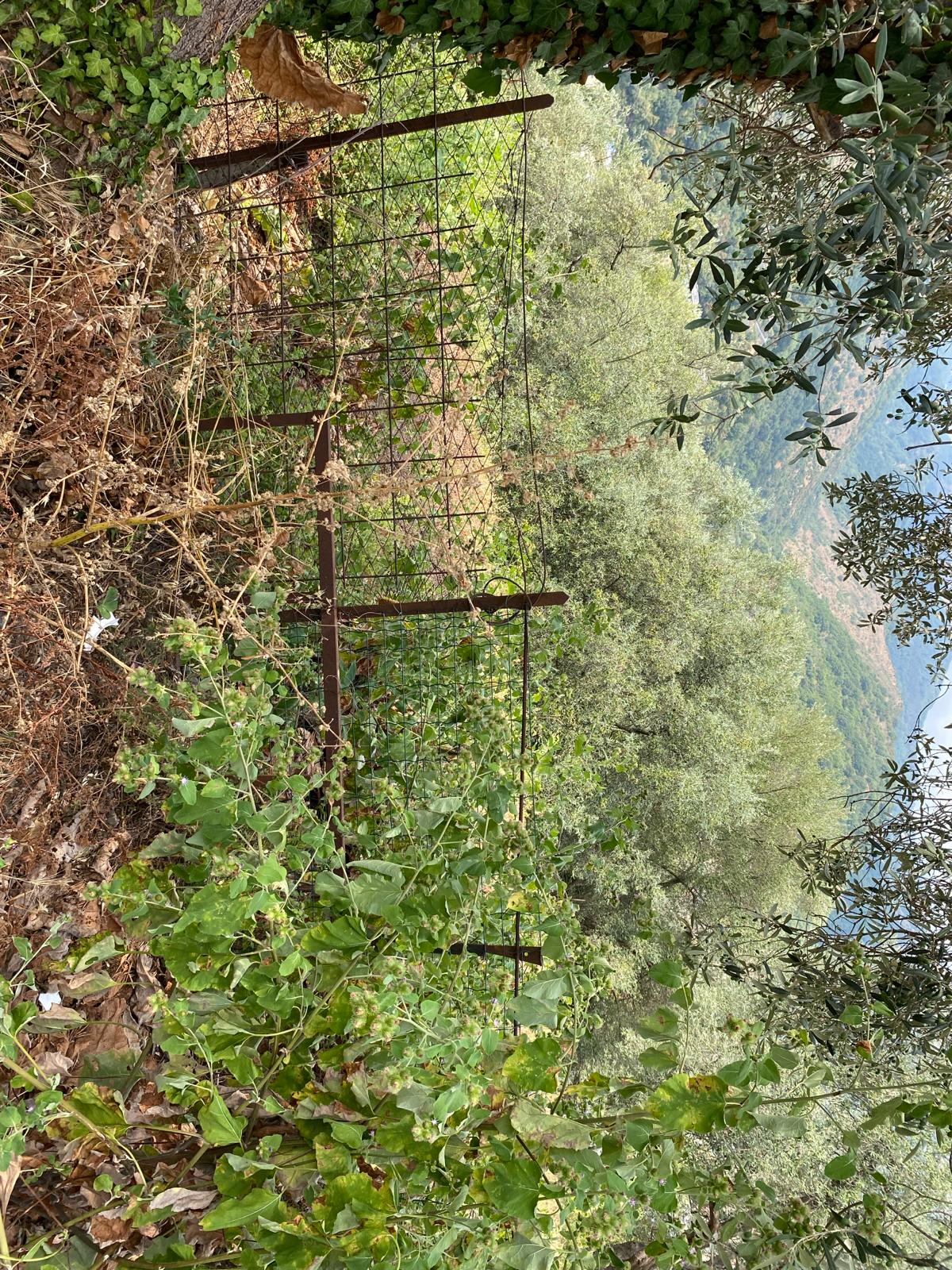 Immobiliare Del Guasta MOLASSANA - VIA LUIGI BAILO TERRENO EDIFICABILE MQ. 3600