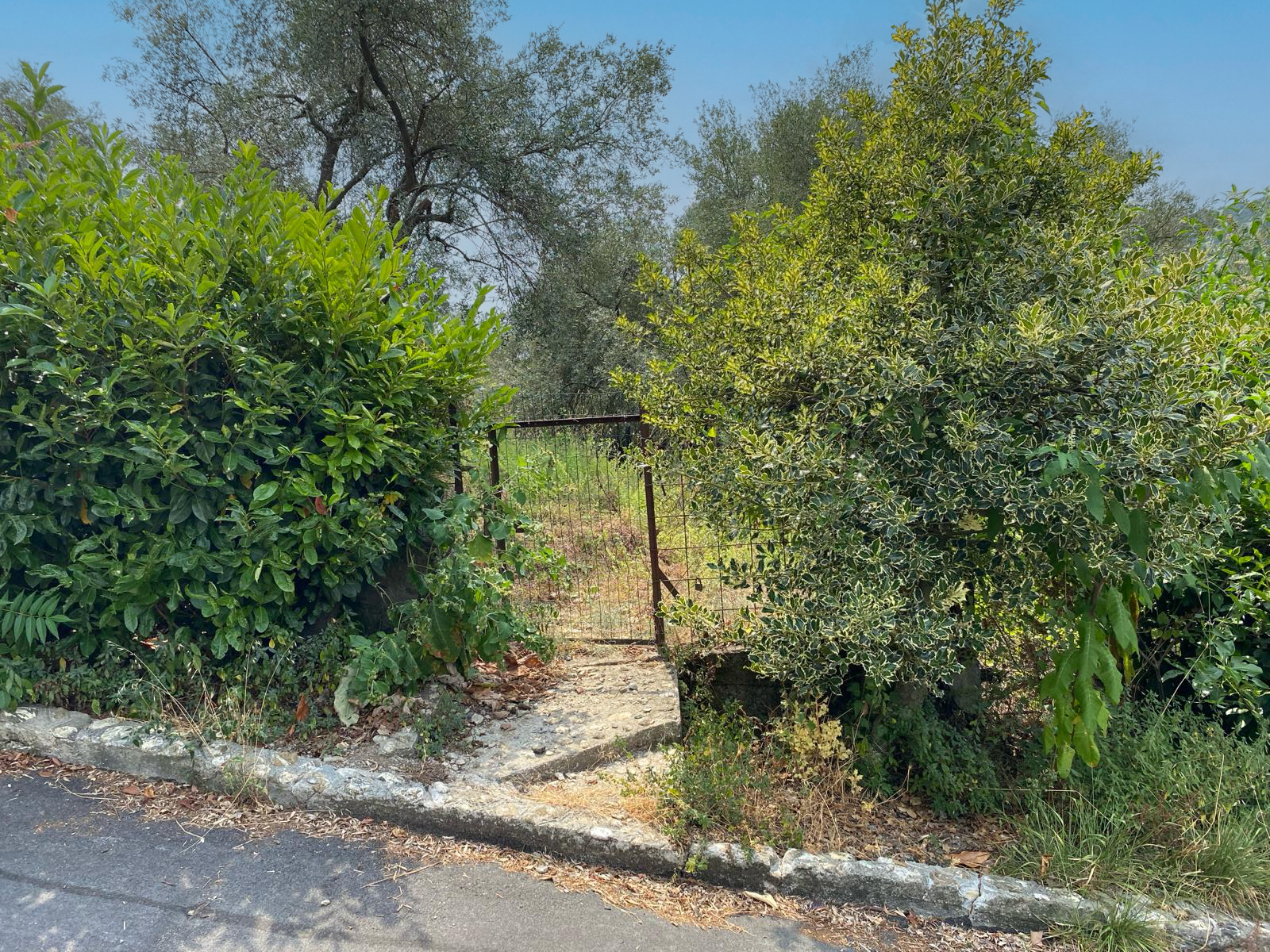 Immobiliare Del Guasta MOLASSANA - VIA LUIGI BAILO TERRENO EDIFICABILE MQ. 3600