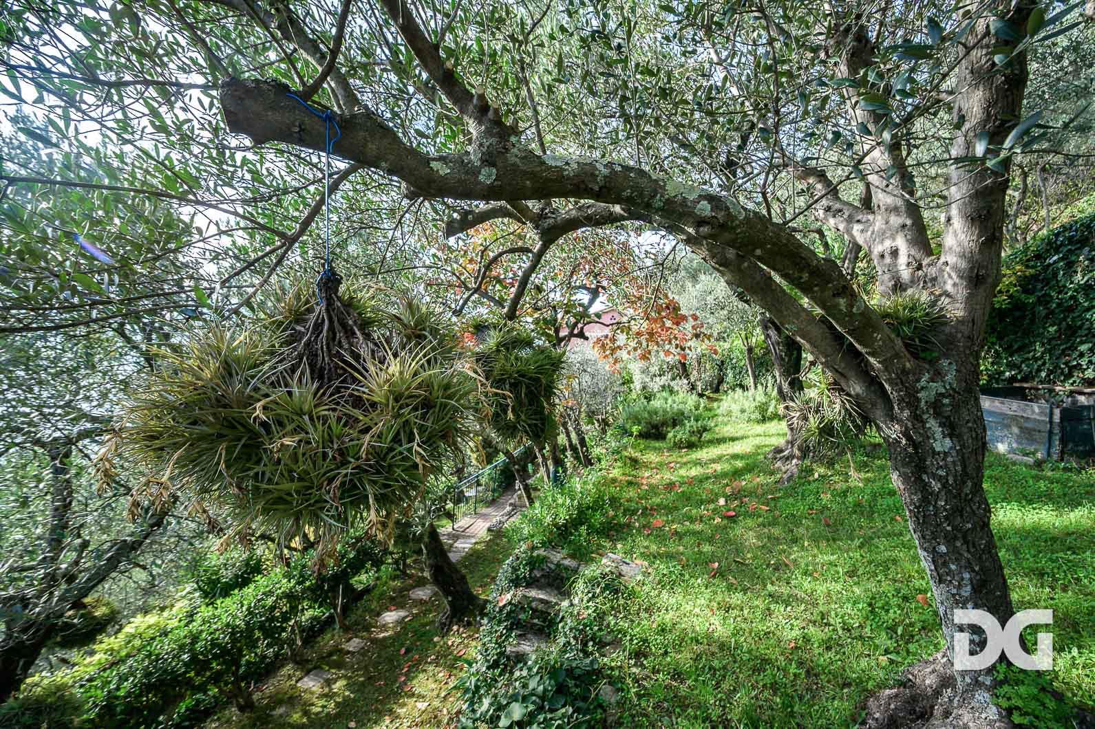 Immobiliare Del Guasta BOGLIASCO – PANORAMICI MQ 70 CON GIARDINO E TERRAZZO 