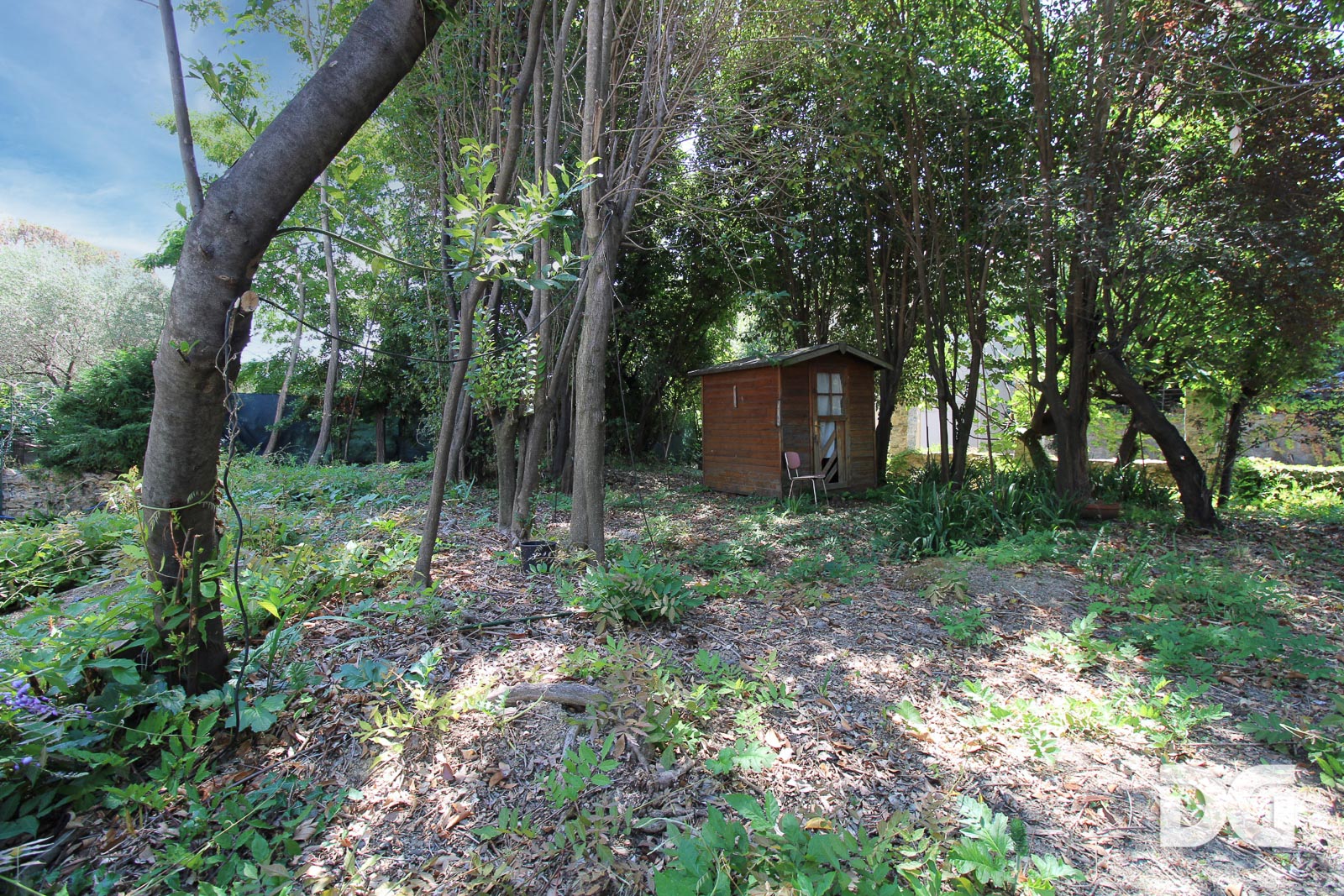 Immobiliare Del Guasta ALBARO – VIA CAMILLA TERRENO EDIFICABILE CON PROGETTO APPROVATO