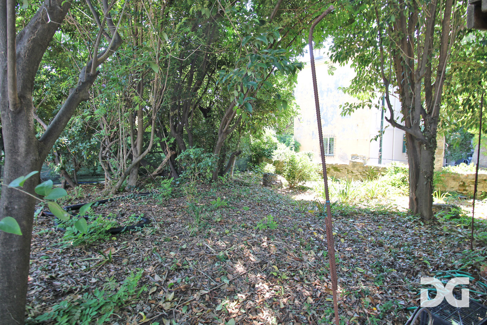 Immobiliare Del Guasta ALBARO – VIA CAMILLA TERRENO EDIFICABILE CON PROGETTO APPROVATO